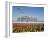 Flowers and the Birds Nest National Stadium in the Olympic Green, Beijing, China-Kober Christian-Framed Photographic Print