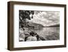 Flowers and Trees near Lake, Montreux. Switzerland-MikeNG-Framed Photographic Print