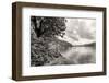 Flowers and Trees near Lake, Montreux. Switzerland-MikeNG-Framed Photographic Print
