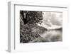 Flowers and Trees near Lake, Montreux. Switzerland-MikeNG-Framed Photographic Print