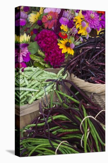 Flowers and Vegetables at Farmers' Market, Savannah, Georgia, USA-Joanne Wells-Stretched Canvas