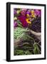 Flowers and Vegetables at Farmers' Market, Savannah, Georgia, USA-Joanne Wells-Framed Photographic Print