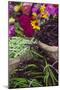 Flowers and Vegetables at Farmers' Market, Savannah, Georgia, USA-Joanne Wells-Mounted Photographic Print