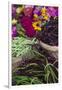 Flowers and Vegetables at Farmers' Market, Savannah, Georgia, USA-Joanne Wells-Framed Photographic Print