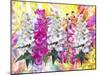 Flowers Art A17-Ata Alishahi-Mounted Giclee Print