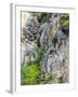 Flowers as Cliff Hangers. Garrapata State Park, Big Sur, California, USA-Tom Norring-Framed Premium Photographic Print