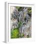 Flowers as Cliff Hangers. Garrapata State Park, Big Sur, California, USA-Tom Norring-Framed Photographic Print