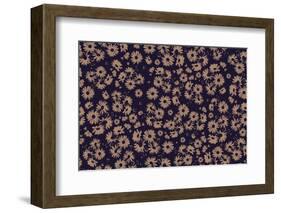 Flowers at Dawn Nº2-Florent Bodart-Framed Photographic Print