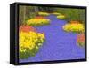 Flowers at Keukenhof Garden-Jim Zuckerman-Framed Stretched Canvas