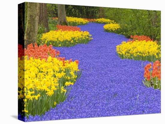 Flowers at Keukenhof Garden-Jim Zuckerman-Stretched Canvas