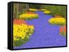 Flowers at Keukenhof Garden-Jim Zuckerman-Framed Stretched Canvas