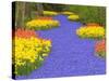 Flowers at Keukenhof Garden-Jim Zuckerman-Stretched Canvas