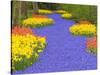 Flowers at Keukenhof Garden-Jim Zuckerman-Stretched Canvas