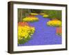 Flowers at Keukenhof Garden-Jim Zuckerman-Framed Premium Photographic Print