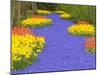 Flowers at Keukenhof Garden-Jim Zuckerman-Mounted Premium Photographic Print