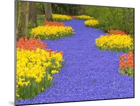 Flowers at Keukenhof Garden-Jim Zuckerman-Mounted Premium Photographic Print