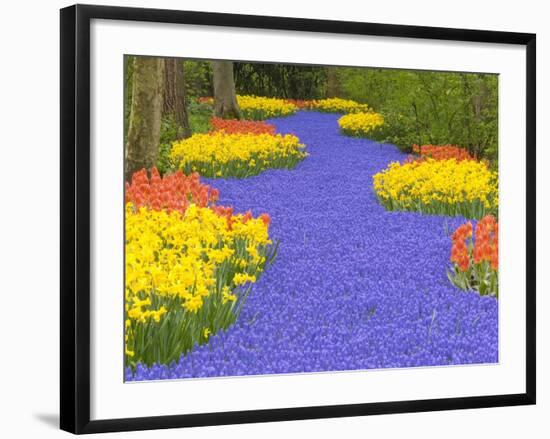 Flowers at Keukenhof Garden-Jim Zuckerman-Framed Premium Photographic Print