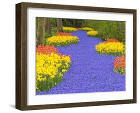 Flowers at Keukenhof Garden-Jim Zuckerman-Framed Photographic Print