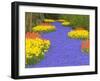 Flowers at Keukenhof Garden-Jim Zuckerman-Framed Photographic Print