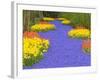 Flowers at Keukenhof Garden-Jim Zuckerman-Framed Photographic Print