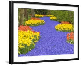 Flowers at Keukenhof Garden-Jim Zuckerman-Framed Photographic Print