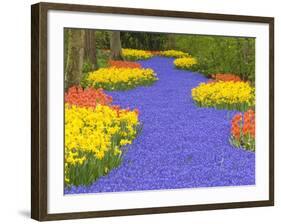 Flowers at Keukenhof Garden-Jim Zuckerman-Framed Photographic Print