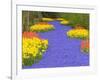 Flowers at Keukenhof Garden-Jim Zuckerman-Framed Photographic Print