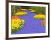 Flowers at Keukenhof Garden-Jim Zuckerman-Framed Photographic Print