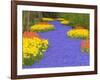 Flowers at Keukenhof Garden-Jim Zuckerman-Framed Photographic Print