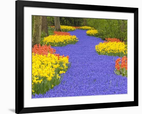 Flowers at Keukenhof Garden-Jim Zuckerman-Framed Photographic Print