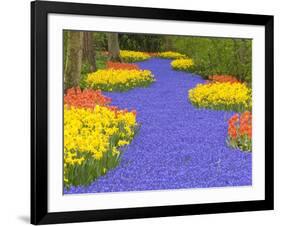 Flowers at Keukenhof Garden-Jim Zuckerman-Framed Photographic Print