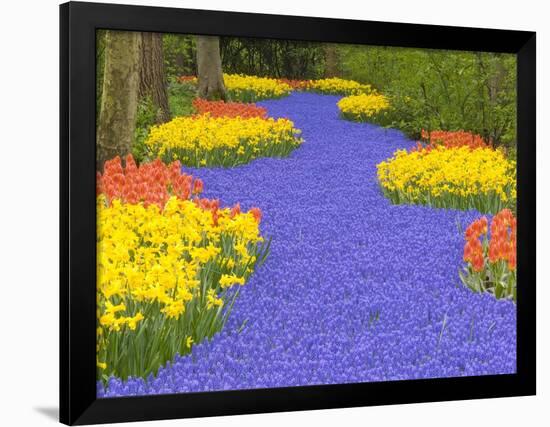 Flowers at Keukenhof Garden-Jim Zuckerman-Framed Photographic Print