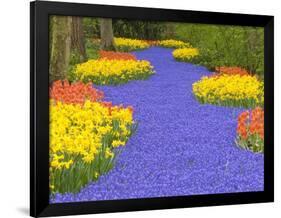 Flowers at Keukenhof Garden-Jim Zuckerman-Framed Photographic Print