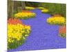 Flowers at Keukenhof Garden-Jim Zuckerman-Mounted Photographic Print