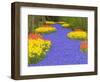 Flowers at Keukenhof Garden-Jim Zuckerman-Framed Photographic Print