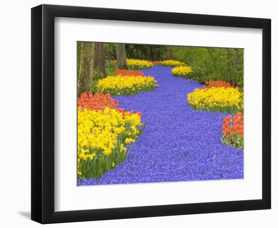 Flowers at Keukenhof Garden-Jim Zuckerman-Framed Photographic Print