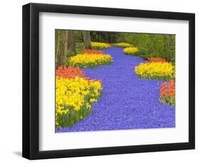 Flowers at Keukenhof Garden-Jim Zuckerman-Framed Photographic Print