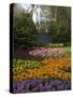 Flowers at Keukenhof Gardens, Near Leiden, Netherlands, Europe-Ethel Davies-Stretched Canvas