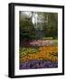 Flowers at Keukenhof Gardens, Near Leiden, Netherlands, Europe-Ethel Davies-Framed Photographic Print