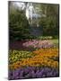 Flowers at Keukenhof Gardens, Near Leiden, Netherlands, Europe-Ethel Davies-Mounted Photographic Print