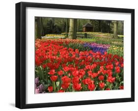 Flowers at Keukenhof Gardens, Near Leiden, Netherlands, Europe-Ethel Davies-Framed Photographic Print