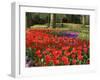 Flowers at Keukenhof Gardens, Near Leiden, Netherlands, Europe-Ethel Davies-Framed Photographic Print