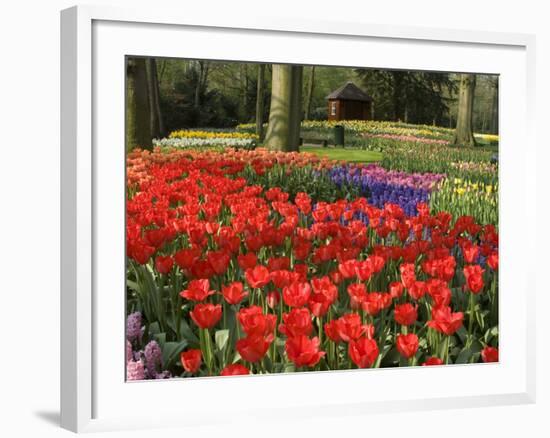 Flowers at Keukenhof Gardens, Near Leiden, Netherlands, Europe-Ethel Davies-Framed Photographic Print