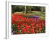 Flowers at Keukenhof Gardens, Near Leiden, Netherlands, Europe-Ethel Davies-Framed Photographic Print