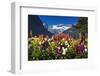 Flowers at Lake Louise under Mount Victoria, Banff National Park, Alberta, Canada-Russ Bishop-Framed Photographic Print