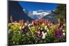 Flowers at Lake Louise under Mount Victoria, Banff National Park, Alberta, Canada-Russ Bishop-Mounted Photographic Print