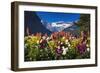 Flowers at Lake Louise under Mount Victoria, Banff National Park, Alberta, Canada-Russ Bishop-Framed Photographic Print