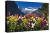 Flowers at Lake Louise under Mount Victoria, Banff National Park, Alberta, Canada-Russ Bishop-Stretched Canvas