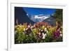 Flowers at Lake Louise under Mount Victoria, Banff National Park, Alberta, Canada-Russ Bishop-Framed Photographic Print