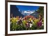 Flowers at Lake Louise under Mount Victoria, Banff National Park, Alberta, Canada-Russ Bishop-Framed Photographic Print